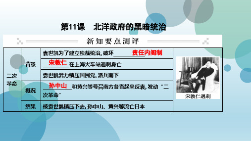 2019年秋人教部编版八年级上册历史作业课件：第11课 北洋政府的黑暗统治(共19张PPT)