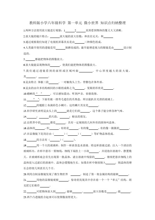 教育科学出版社小学六年级科学《微小世界》知识点归纳练习