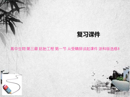 高中生物 第三章 胚胎工程 第一节 从受精卵谈起课件 浙科版选修3