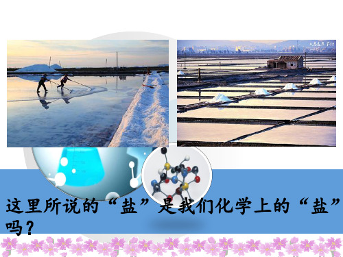 人教版化学九年级下册11.1《常见的盐》课件(1)