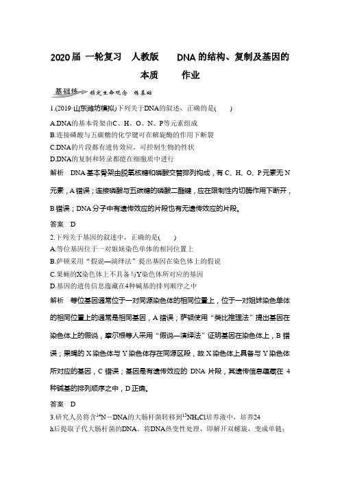 2020年高考 一轮复习  人教版    DNA的结构、复制及基因的本质     作业.doc