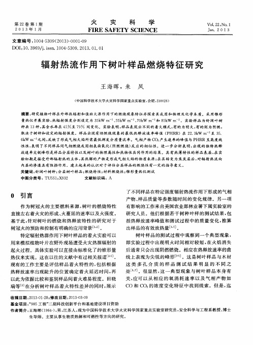 辐射热流作用下树叶样品燃烧特征研究