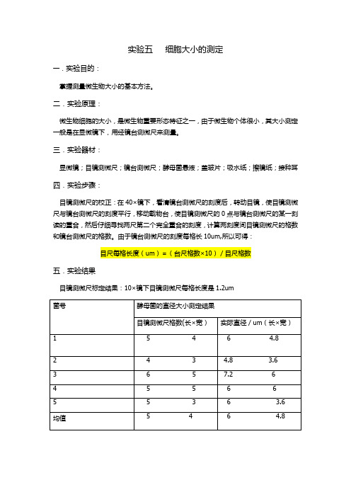 细胞大小的测定