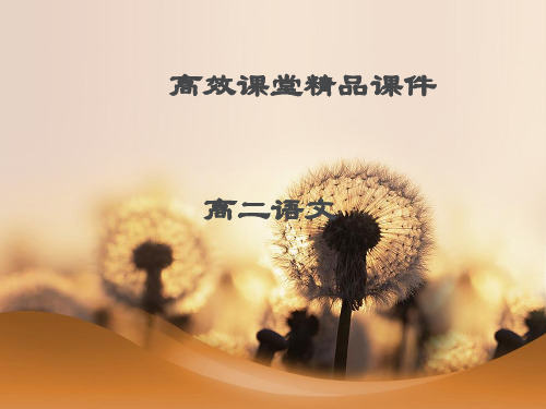 高二语文高效课堂8谁是英雄