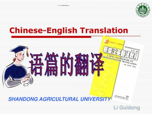 14.语篇的翻译.ppt