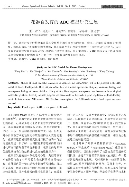 花器官发育的ABC模型研究进展