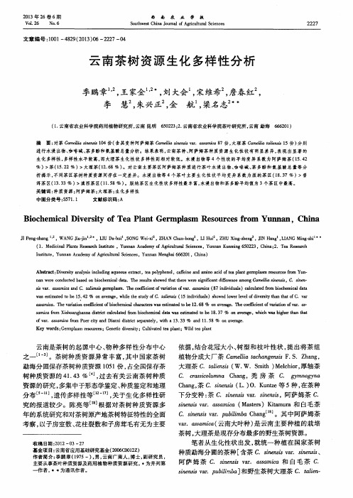 云南茶树资源生化多样性分析