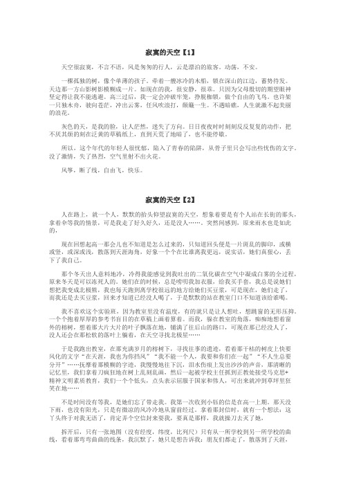 寂寞的天空作文
