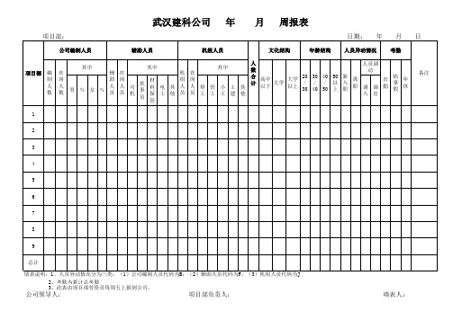 人力资源周报表表样