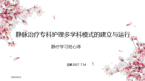 静脉治疗专科护理多学科模式的建立与运行 ppt课件