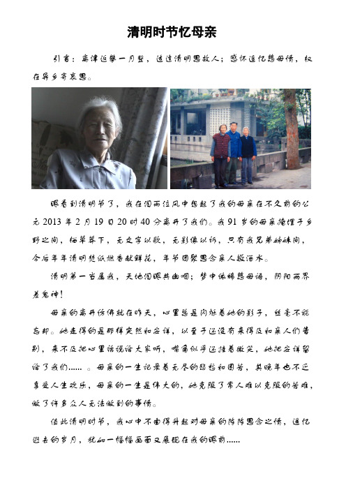 清明时节忆母亲