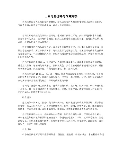 巴西龟的价格与饲养方法