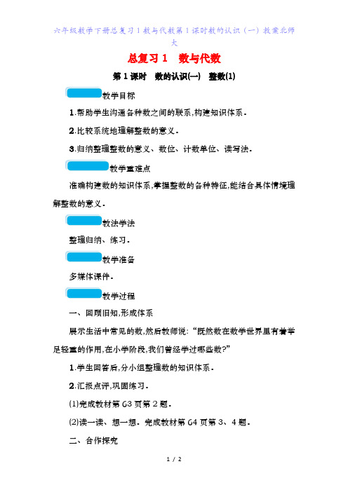 六年级数学下册总复习数与代数第1课时数的认识(一)教案北师大