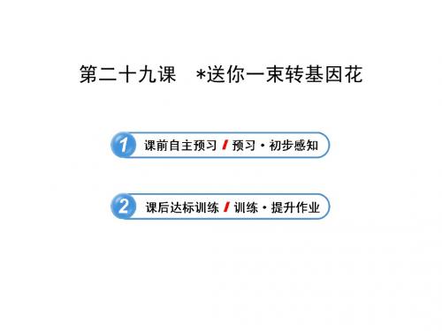 6.29 送你一束转基因花 课件(苏教版八年级上)