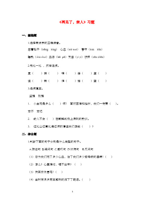 新鲁教版(五四制)小学语文五年级上册《再见了,亲人》过关习题第二课时