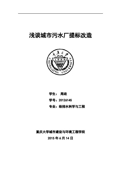 提标改造【范本模板】