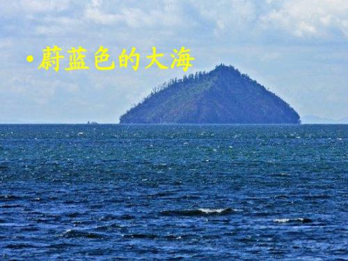20《和我们一样享受春天》课件ppt
