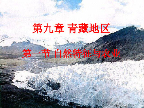 地理八年级下人教新课标9-1青藏地区自然特征与农业课件(27张)