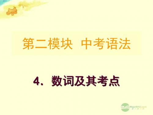 最新-广东省河源市中英文实验学校九年级英语专题复习