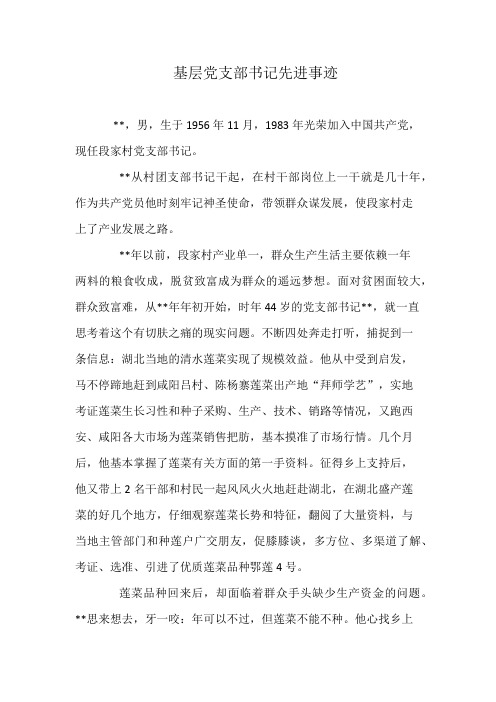 基层党支部书记先进事迹