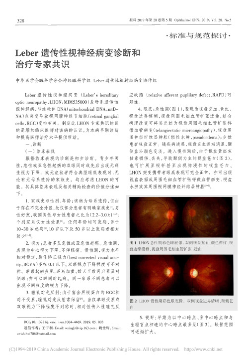 2019 Leber遗传性视神经病变诊断和治疗专家共识