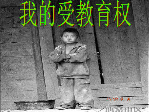 八年级政治我的受教育权