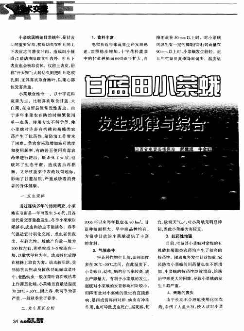 甘蓝田小菜蛾发生规律与综合