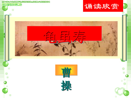 《龟虽寿》 ppt课件完美版