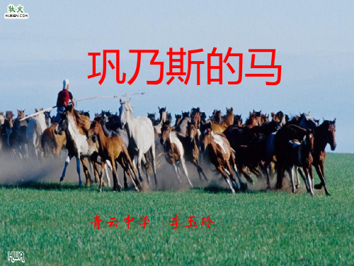 巩乃斯的马课件完美版