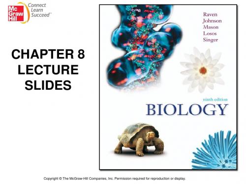 Chapter 8 PowerPoint