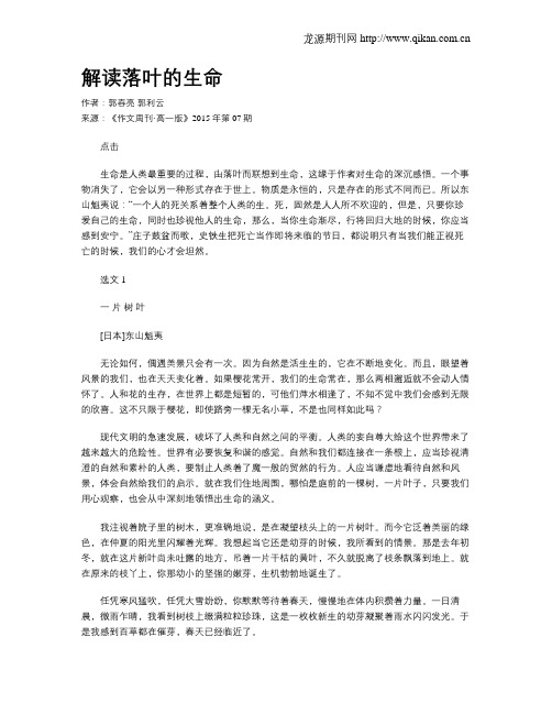 解读落叶的生命