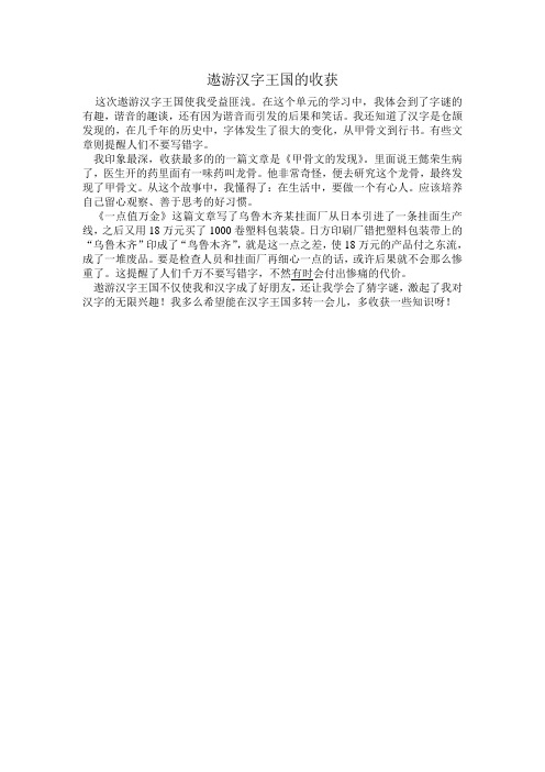 遨游汉字王国的收获