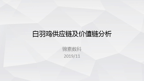 白羽鸡价值链分析20190118