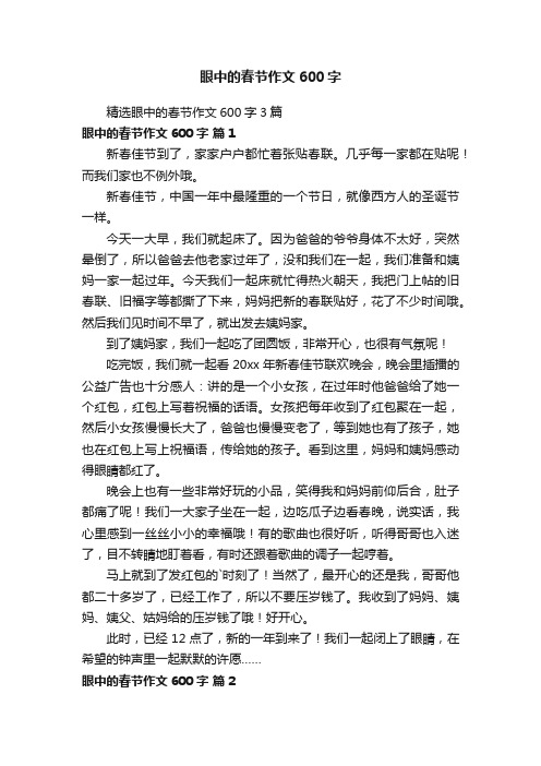 精选眼中的春节作文600字3篇