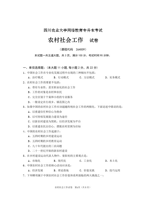 农村社会工作
