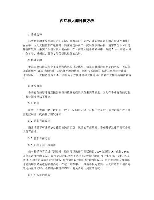 西红柿大棚种植方法