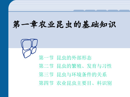 (植物保护课件)第一章_昆虫的外部形态(第一次课)