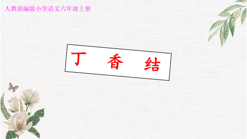 人教部编版语文六年级上册《丁香结》