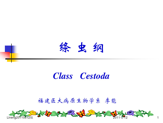 曼氏迭宫绦虫2011