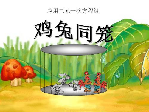 应用二元一次方程组—鸡兔同笼-二元一次方程组PPT精品教学课件