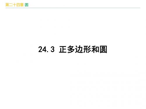 人教版九年级数学上册第24章《 圆：24.3 正多边形和圆》