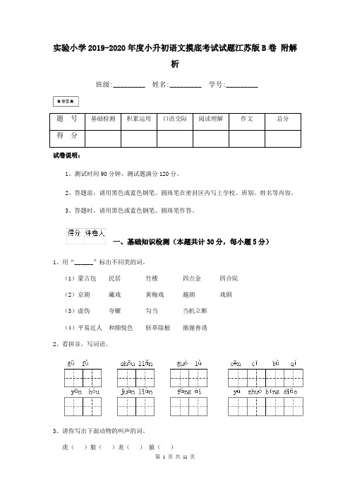 实验小学2019-2020年度小升初语文摸底考试试题江苏版B卷 附解析
