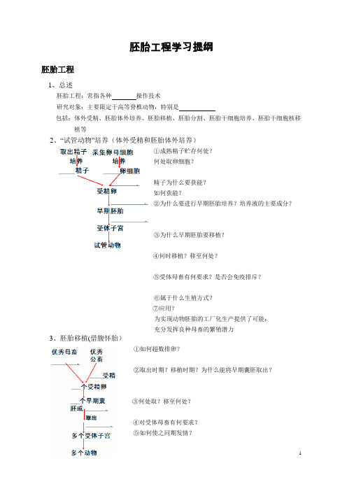 胚胎工程课堂提纲