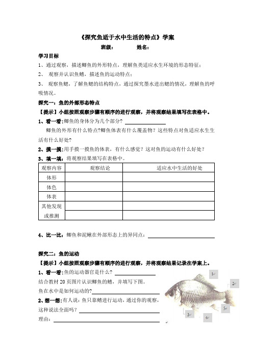 生物人教版八年级上册探究鱼适于水中生活的特点学案