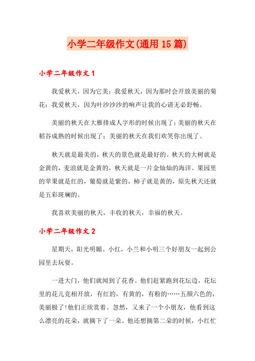 小学二年级作文(通用15篇)