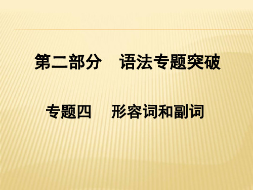 人教版中考英语总复习专题四 形容词与副词