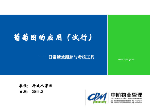 员工绩效管理—葡萄图的应用