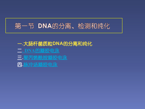 质粒DNA的提取纯化与电泳检测