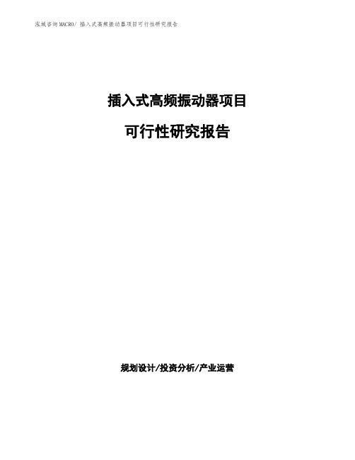 插入式高频振动器项目可行性研究报告