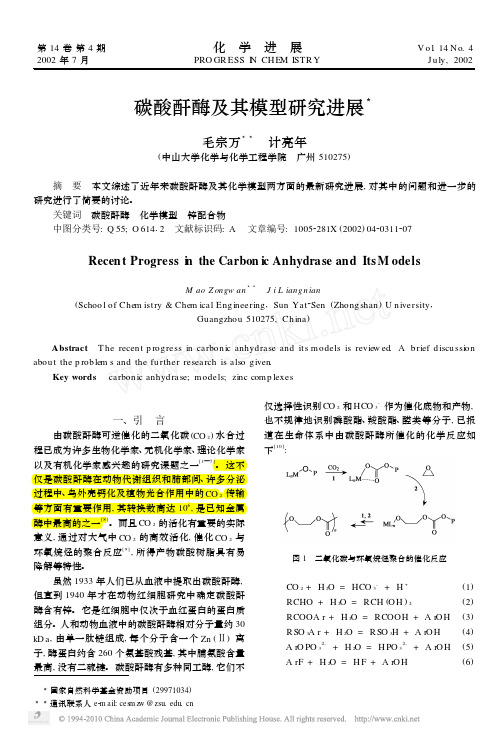 碳酸酐酶及其模型研究进展_毛宗万